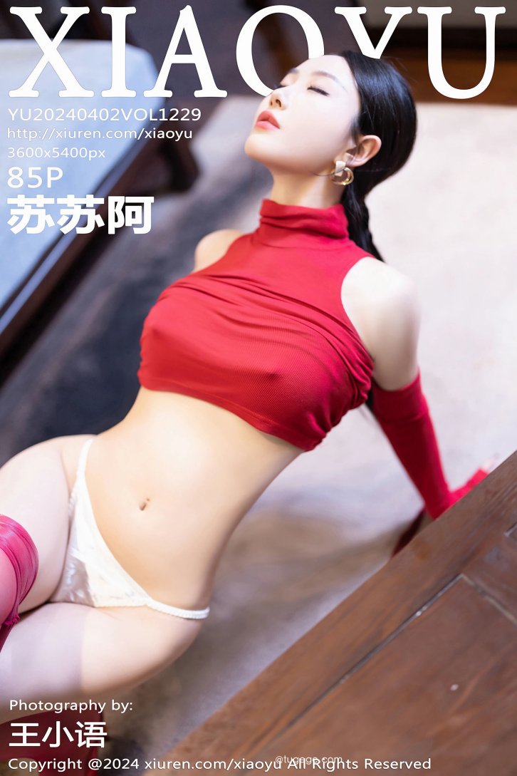 VIP会员